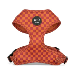 Arnés Miami Cuadros