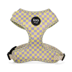 Arnés Tokio Cuadros