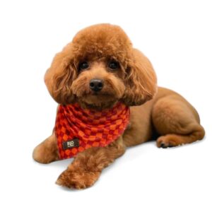 Bandana Miami Cuadros