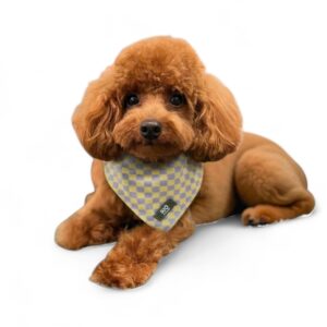 Bandana Tokio Cuadros