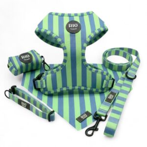 Kit Completo Rio Rayas