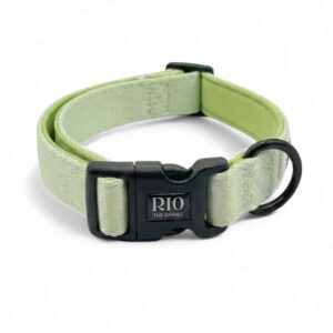 Collar Bali