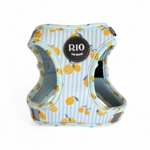 Arnés Amalfi Lemon (Body)