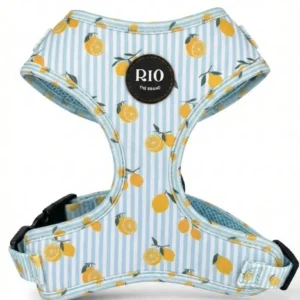 Arnés ajustable para perro pequeño Amalfi Lemon, de rayas celestes con limones y hebillas de clic a los lados