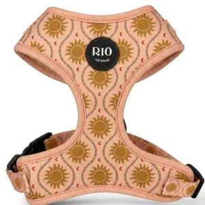 Arnés ajustable para perro pequeño Ibiza, rosa con soles dorados y hebillas de clic a los lados