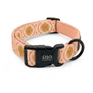 Collar para perro Ibiza, rosa con soles dorados, con hebilla de clic y anilla metálica, sobre fondo blanco