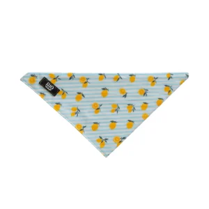 Bandana de doble cara para perro Amalfi Lemon, de rayas celestes con limones, sobre fondo blanco