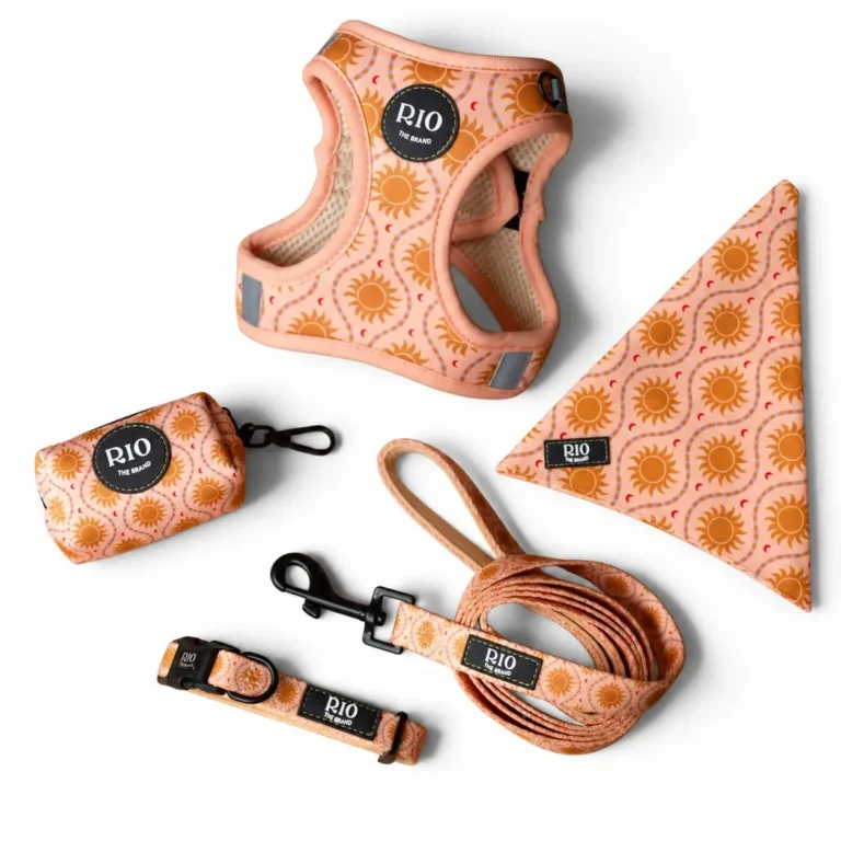Kit Ibiza de RIO sobre fondo blanco: arnés body de soles, correa, collar, portabolsas y bandana a juego