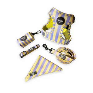 Kit Completo Tokio Rayas (Arnés body)