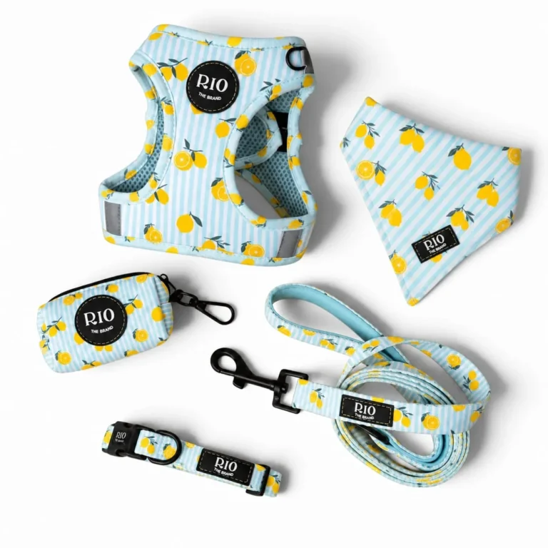 Kit Amalfi Lemon de RIO sobre fondo blanco: arnés body de limones sobre rayas azul claro, correa, collar, portabolsas y bandana